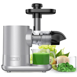 Slow Juicer 